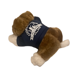 Bull Dog 7"(Navy Shirt)