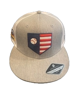 CASV Gray Home Plate Baseball Cap
