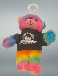 CASV 4" Rainbow Bear Keychain