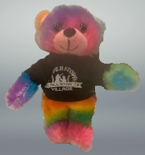 CASV 4" Rainbow Bear Keychain